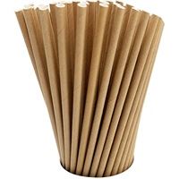 Kraft Paper Straw from DisposablesInc.com. The best import service in China. Import your disposable items and products from us.